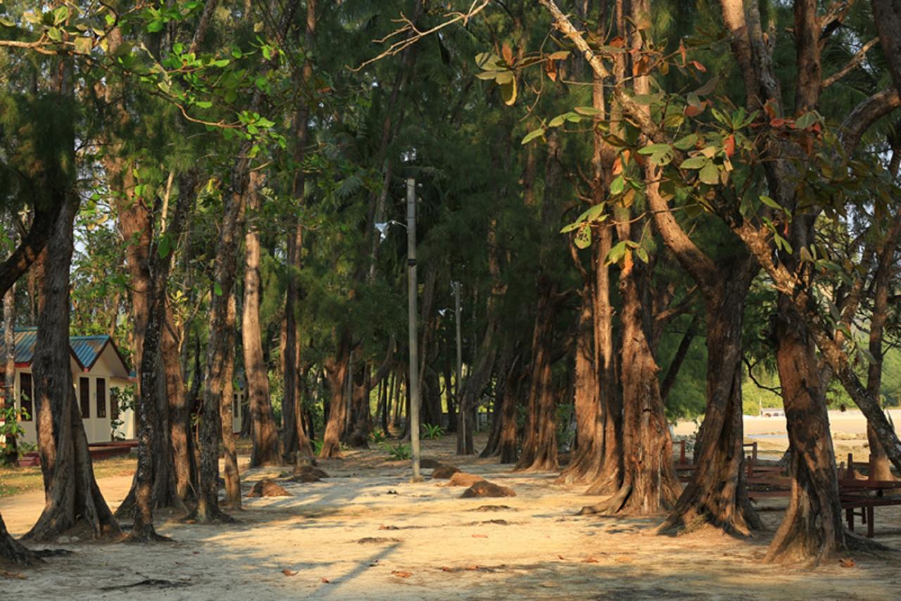 Coconut Island Resort Ngapali Kültér fotó