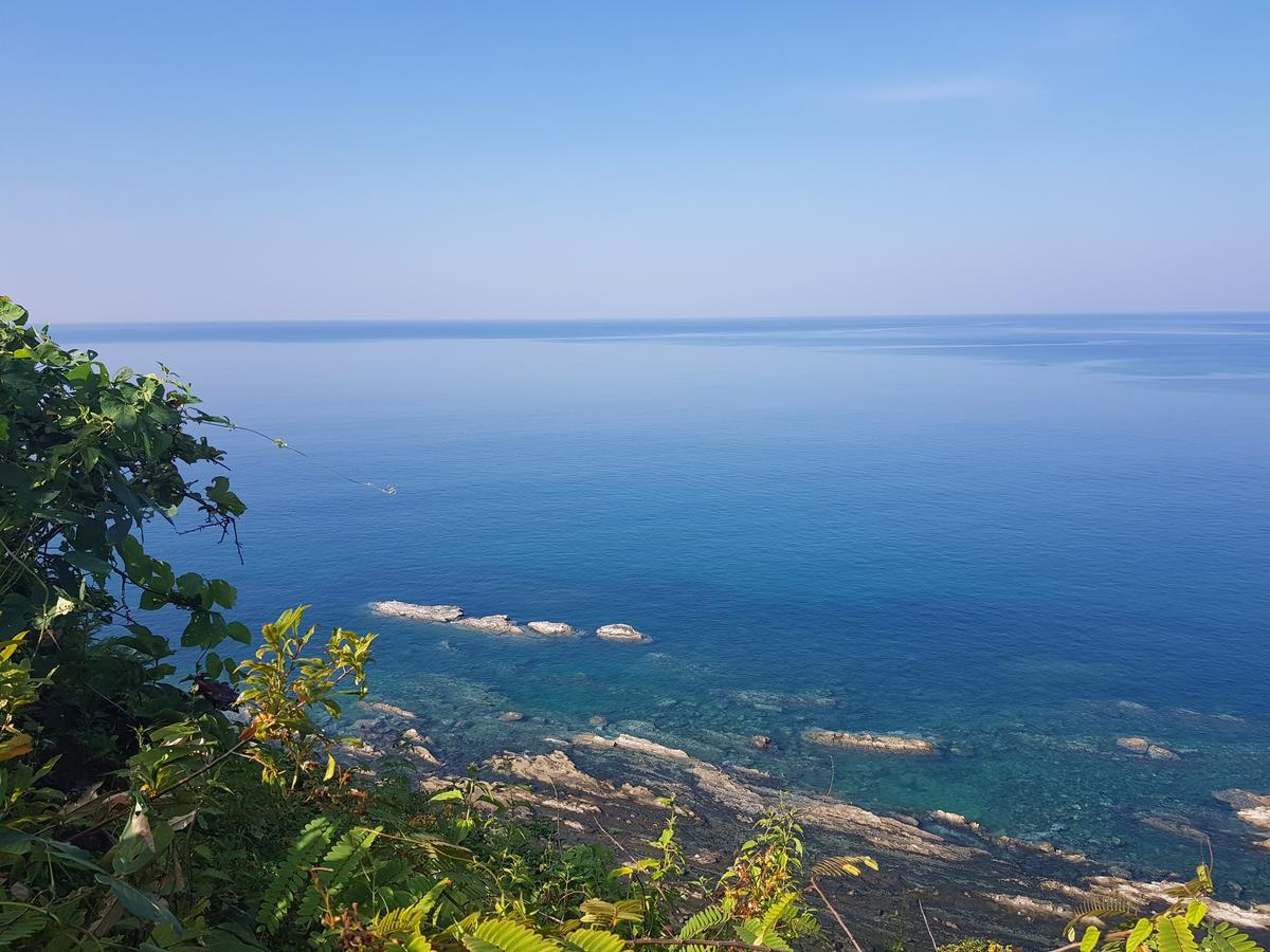 Coconut Island Resort Ngapali Kültér fotó